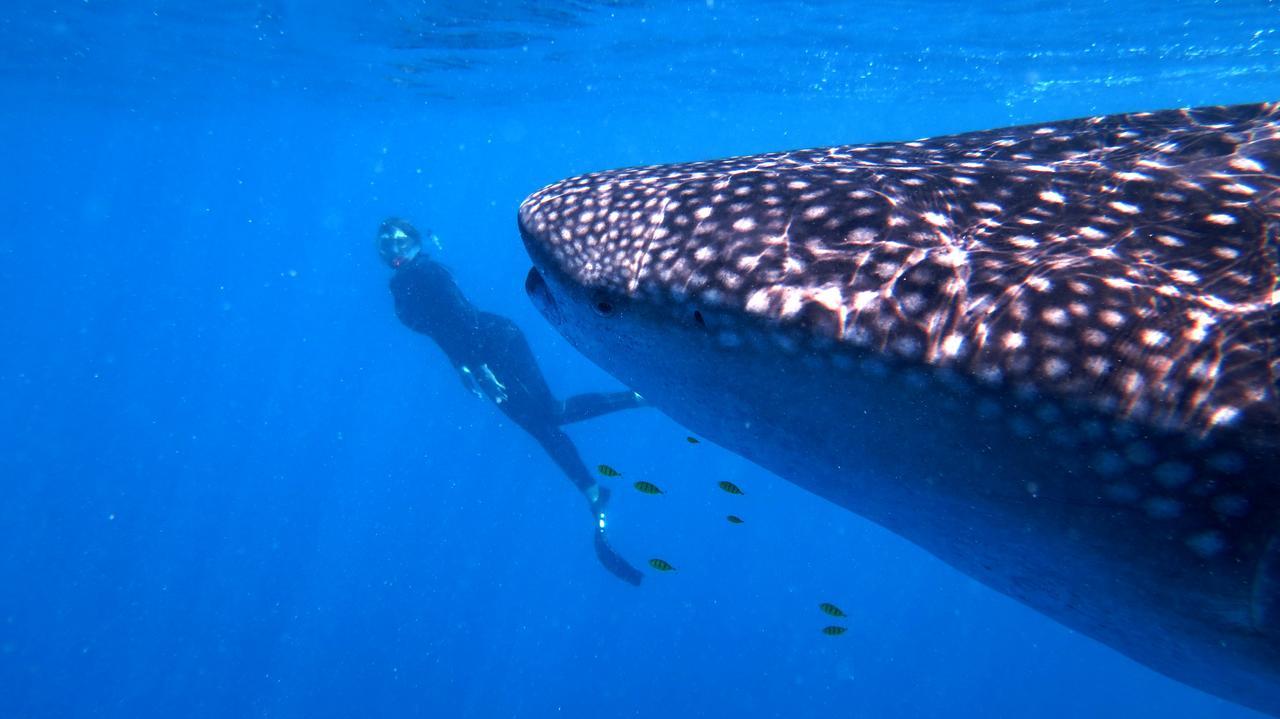 Sakatia Lodge Ampasimena Bagian luar foto