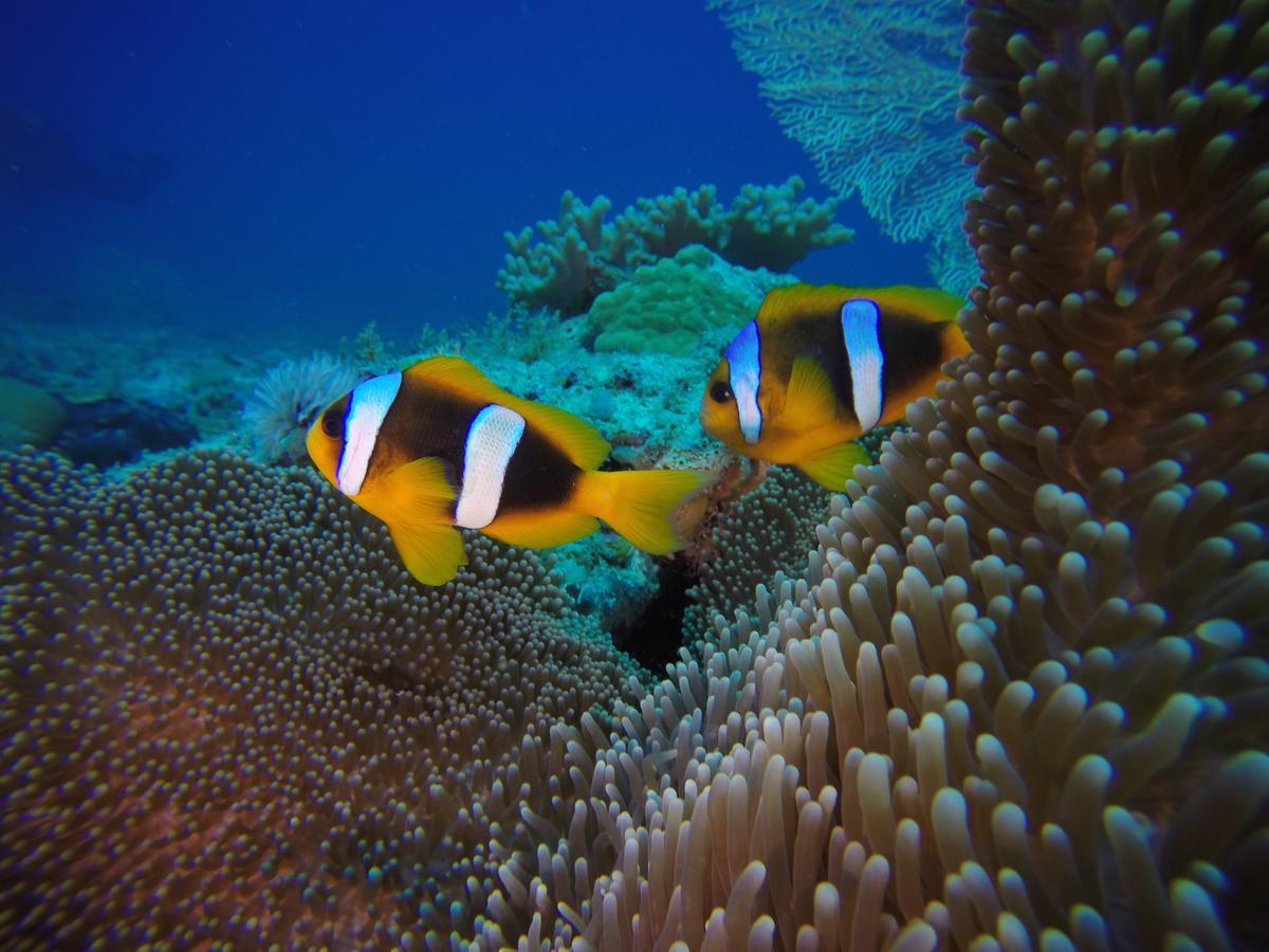 Sakatia Lodge Ampasimena Bagian luar foto