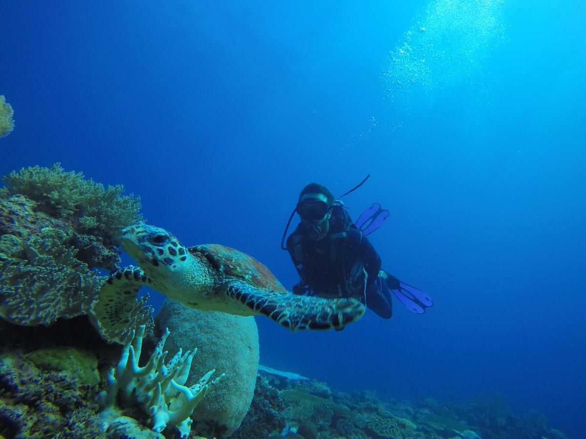 Sakatia Lodge Ampasimena Bagian luar foto